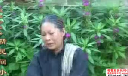 青青草视频网站,海量资源，畅享视听盛宴