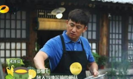 娱乐圈吃瓜明星代号厨子,娱乐圈神秘代号背后的明星传奇