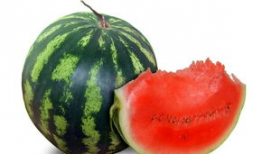 网红爆料吃瓜平台是什么,吃瓜平台背后的秘密